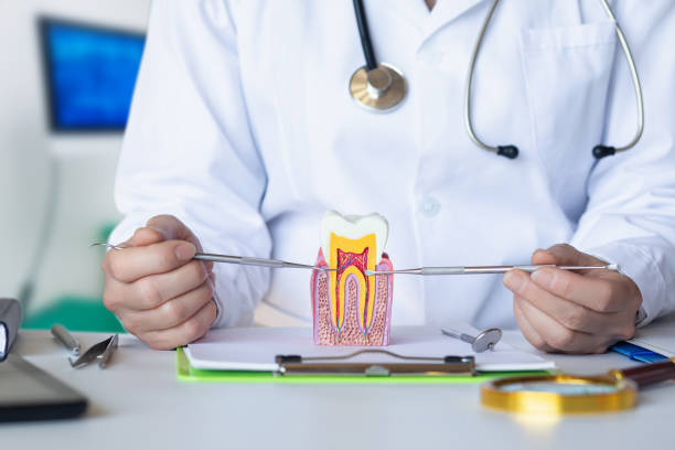 Best Emergency Treatment for Dental Infections or Abscesses in Northvale, NJ